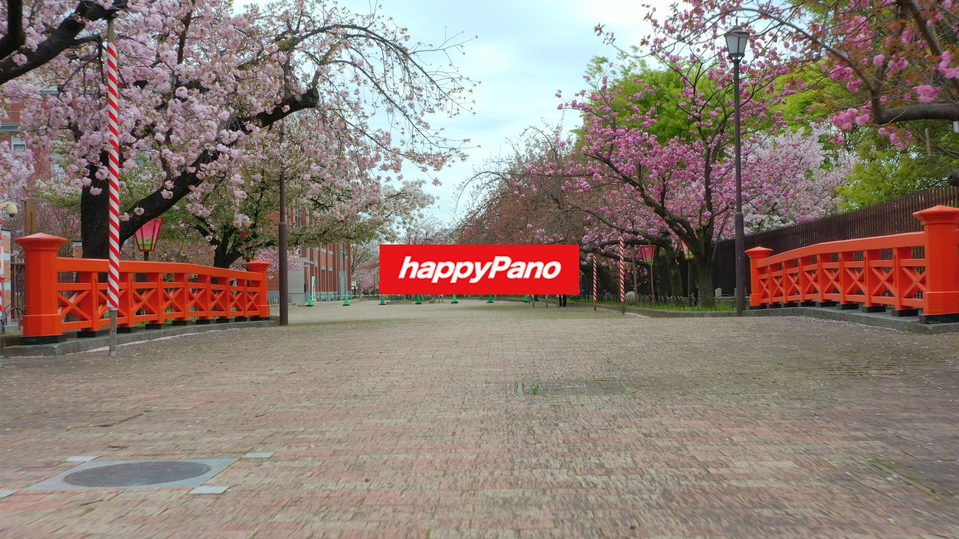 大阪｜造幣局桜の通り抜け）撮影日：2023年04月03日